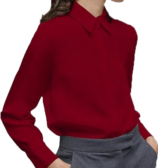 Slim solid color shirt-D119