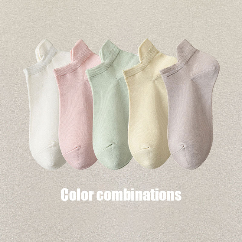 Socks(5 pairs)-D243