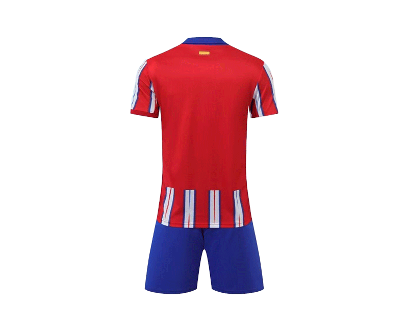 Jersey-D653 deportivos | Inspanda