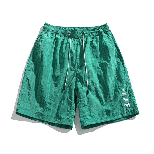 Basketball shorts-D400