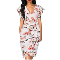 Sweet style slim dress-D150