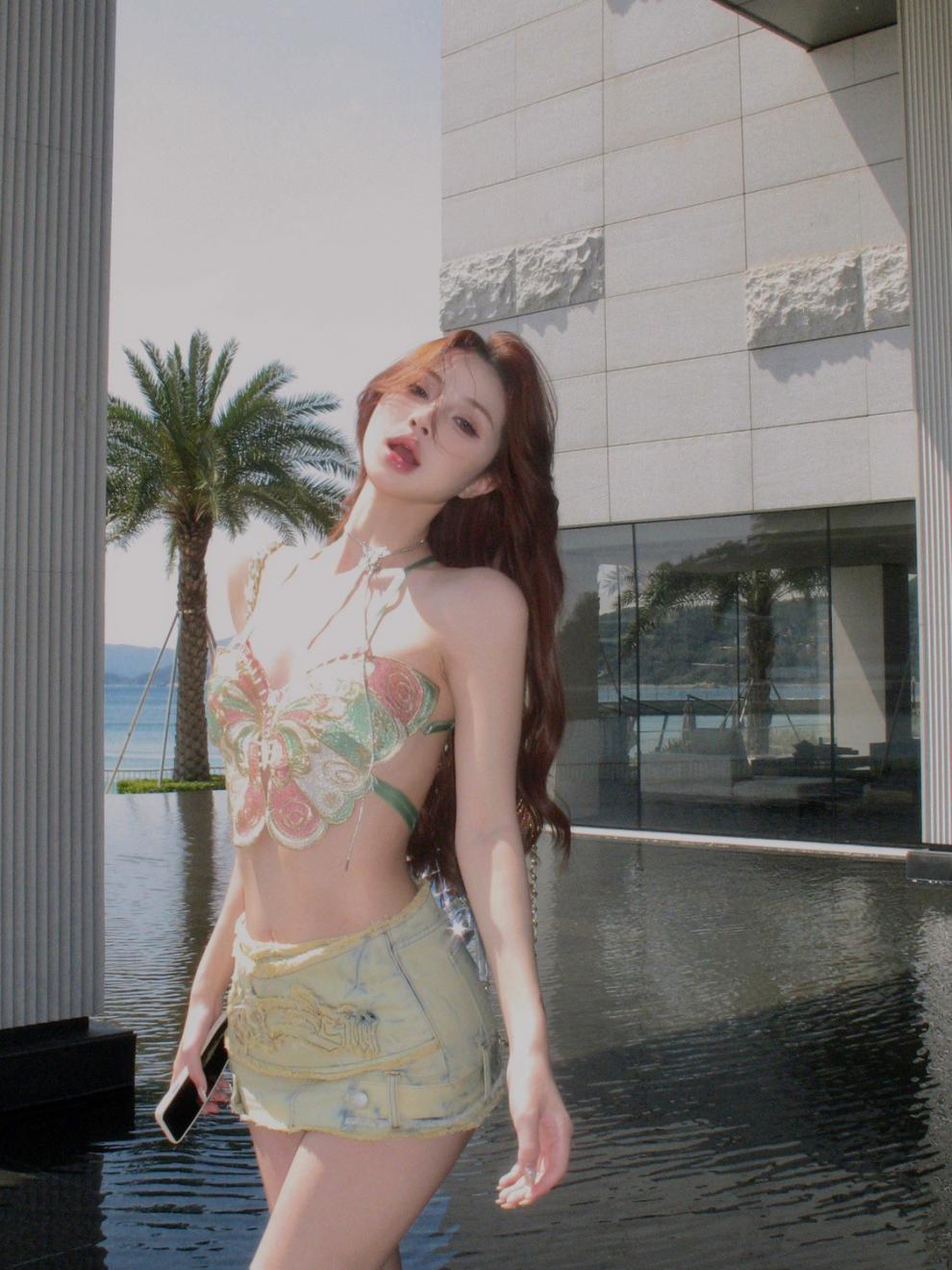 Butterfly embroidery sexy -D386